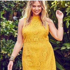 Forever 21 Mustard Lace Midi Dress